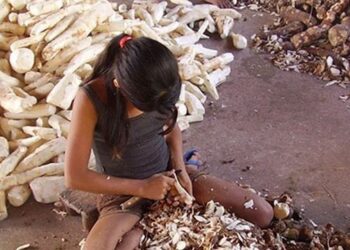 Fórum teme que covid-19 provoque aumento de trabalho infantil