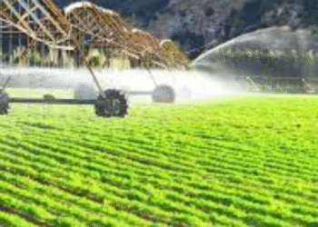 Acesso à Dupla Tarifa ficou mais fácil e evitará desemprego