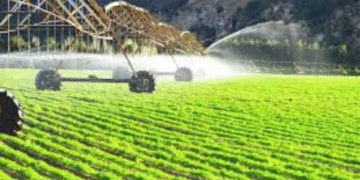 Acesso à Dupla Tarifa ficou mais fácil e evitará desemprego