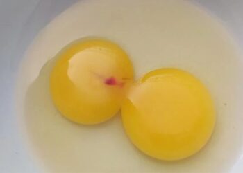 E aquela mancha vermelha no ovo? Tá ruim, ou não?