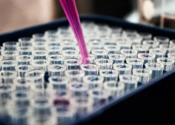 Inflamação no cérebro pode ser peça central no Alzheimer, aponta estudo