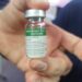Vacina nacional contra dengue começa em janeiro