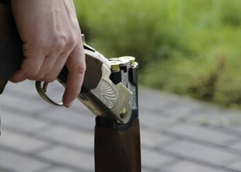 Comissão aprova porte de arma em área rural