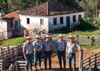 Cinco irmãos solteirões, mantêm lar e legado no campo