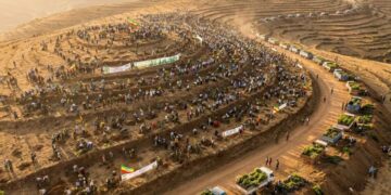 Etiópia mobiliza país e bate recorde: 350 milhões de árvores em 12 horas