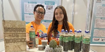 Presidente Dutra: detergente biodegradável a partir da casca da pinha