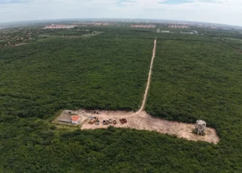 Sem licença ambiental, empresa desiste de hidrogênio verde no Piauí