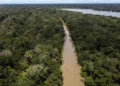 Brasil destaca combate ao desmatamento em plano climático