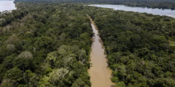 Brasil destaca combate ao desmatamento em plano climático