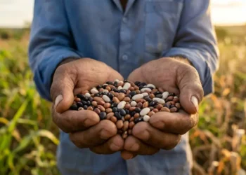 Governo anuncia Plano Safra recorde