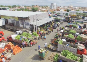 Alta de hortifrutigranjeiros em Irecê abre oportunidades para a agricultura familiar